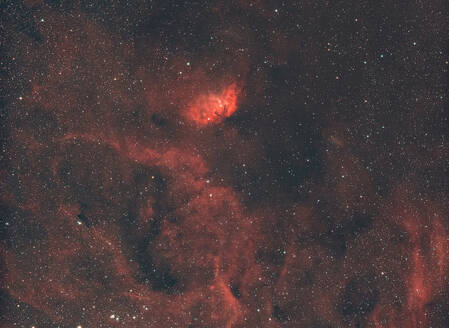 Tulpennebel (Sharpless 101) im Sternbild Cygnus - ZCF01168