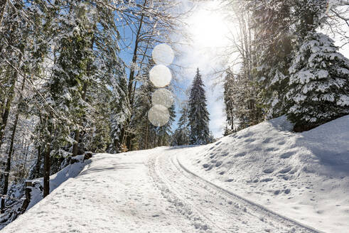 Deutschland, Bayern, Sonnenschein über schneebedeckter Straße am Sollereck - EGBF00944