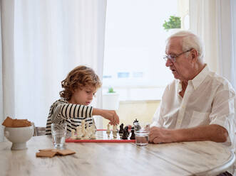 Focused boy and elderly man in glasses sitting at wooden table with cookies and playing board game in kitchen at home - ADSF46714