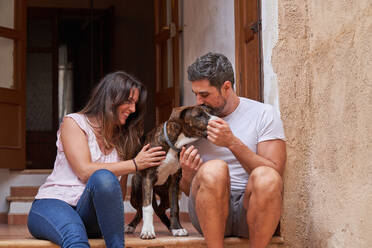 Lächelnde Frau und Mann in Freizeitkleidung, die Spaß haben, während sie auf einer Treppe sitzen und mit einem liebenswerten Hund spielen - ADSF46738