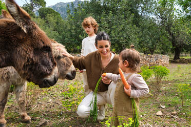 Happy ethnic mother and cute kids stroking and feeding funny donkeys with carrots while spending warm summer day together in countryside - ADSF46786