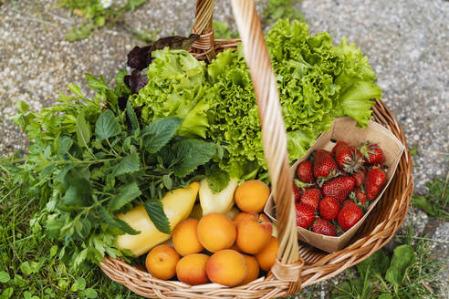 Verschiedene frische Gemüse und Früchte im Korb - NDEF01127
