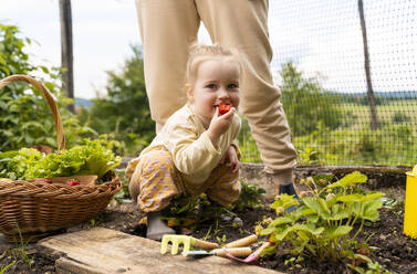 Lächelndes Mädchen isst Erdbeere im Garten - NDEF01131