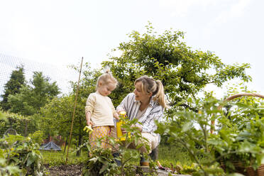 Lächelnde Mutter und Tochter gießen Pflanzen mit einer Gießkanne im Garten - NDEF01135