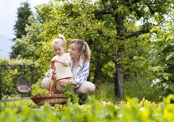 Mutter und Tochter ernten Gemüse im Garten - NDEF01137