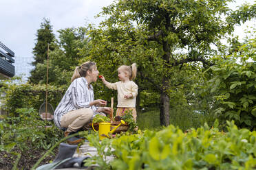 Mädchen füttert Mutter im Garten mit Erdbeeren - NDEF01142