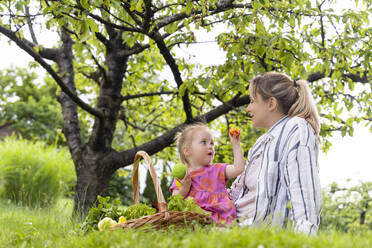 Girl showing apricot fruit to mother sitting on grass in garden - NDEF01147