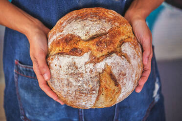 Fotoausschnitt einer weiblichen Hand, die ein in der Mitte gebrochenes Brot mit einer blauen Küchenschürze hält. - ADSF46827