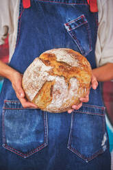 Fotoausschnitt einer weiblichen Hand, die ein in der Mitte gebrochenes Brot mit einer blauen Küchenschürze hält. - ADSF46829