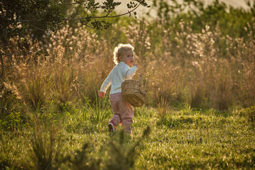 Back view full length adorable little girl in back lit in white sweater strolling in sunny verdant nature with wicker basket and looking at camera over shoulder - ADSF46835