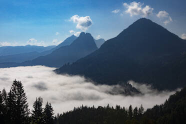 Austria, Salzburger Land, Drone view of Lake Wolfgangsee shrouded in thick morning fog - WWF06453