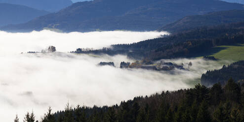Österreich, Oberösterreich, Oberwang, Tal in dichten Nebel gehüllt - WWF06462