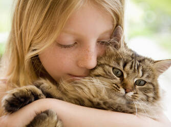 Close up of young girl hugging kitten - FSIF06401