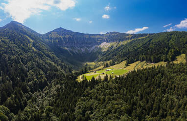 Österreich, Salzburger Land, Drohnenansicht eines bewaldeten Tals im Salzkammergut - WWF06483