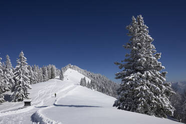 Österreich, Salzburger Land, St. Gilgen, Schneebedeckter Gipfel des Zwolferhorns - WWF06494