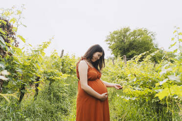 Lächelnde schwangere Frau in der Nähe von Pflanzen stehend - NDEF01160
