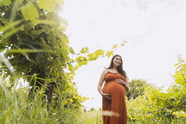 Lächelnde schwangere Frau mit Händen auf dem Bauch unter dem Himmel stehend - NDEF01161