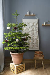 Geschmückter getöpferter Weihnachtsbaum auf Holzkiste mit Geschenken und Adventskalender zu Hause - SVKF01606