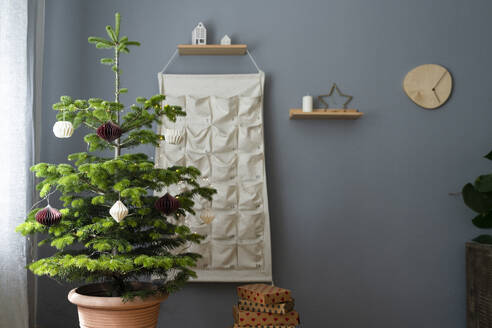 Decorated potted Christmas tree with gifts and advent calendar at home - SVKF01607