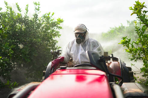 Anonymer Landwirt mit Schutzanzug und Maske beim Sprühen von Pestiziden und Insektiziden auf Zitronenbäumen, während er einen Traktor auf einem Bio-Bauernhof fährt - ADSF47119