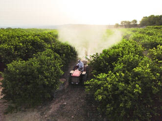 Hoher Winkel eines nicht erkennbaren Landwirts, der einen landwirtschaftlichen Traktor fährt, der Herbizidspritzen und Pestizide und Insektizide auf Zitronenbäume in einem Biobetrieb sprüht - ADSF47121