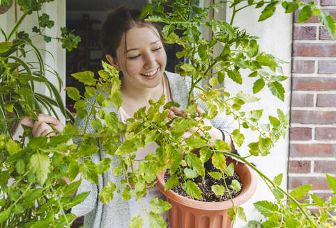 Lächelndes Teenager-Mädchen mit Topf-Tomatenpflanze auf dem Balkon - IHF01722