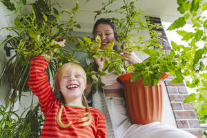 Fröhliches Mädchen mit Tomatenpflanze und älterer Schwester auf dem Balkon - IHF01725