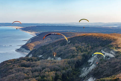 Aerial view of four paramotor pilots flying over trees and hills at the Black Sea coast of Istanbul, Turkey. - AAEF21922
