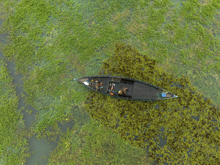 Luftaufnahme eines traditionellen schwimmenden Gemüsegartens entlang eines Baches in einem Plantagenfeld in Nazipur, Barisal, Bangladesch. - AAEF22029