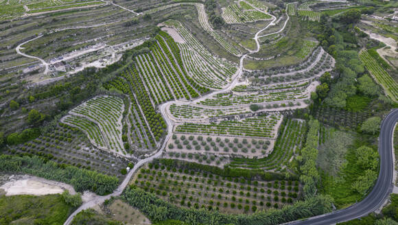 Luftaufnahme einer Serpentinenstraße in einem grünen landwirtschaftlichen Gebiet, Zona Encinas, Cumbre del Sol, Alicante, Spanien. - AAEF22102