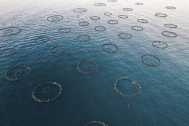 Aerial Drone View Of Round Sea Fish Farm Cages And Fishing Nets, Trabzon City, Black Sea, Turkey. - AAEF22167