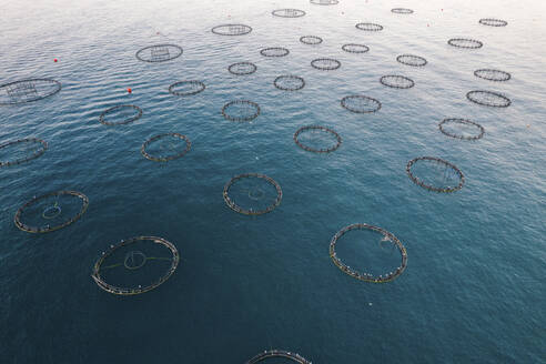Aerial Drone View Of Round Sea Fish Farm Cages And Fishing Nets, Trabzon City, Black Sea, Turkey. - AAEF22167