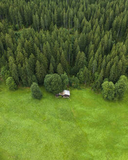 Aerial view of an isolated house near the forest along the Bernese Alps mountains, Grindelwald, Swiss Alps, Canton of Bern, Switzerland. - AAEF22519