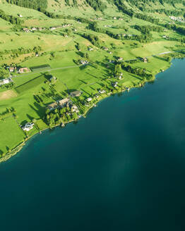 Luftaufnahme von Wohnhäusern am Vierwaldstättersee bei Sonnenuntergang, von Kussnacht am Rigi, Schwyz, Schweiz. - AAEF22538