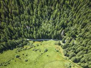 Luftaufnahme eines Wanderwegs entlang der Küste des Toblacher Sees, Dolomiten, Toblach, Trentino, Südtirol, Italien. - AAEF22688