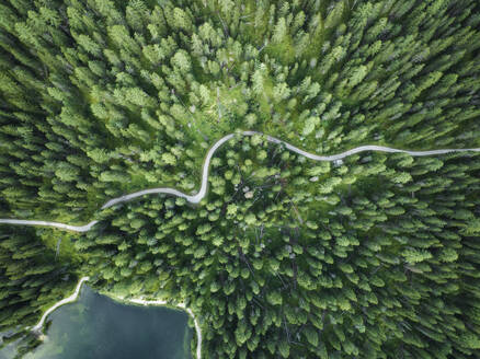 Luftaufnahme einer Straße durch den Wald mit Bäumen am Misurina-See, Auronzo di Cadore, Dolomiten, Venetien, Italien. - AAEF22743