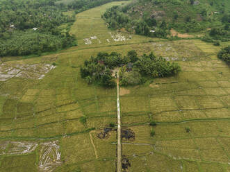 Aerial view of fields close to Mathugama in Sri, Lanka. - AAEF22878