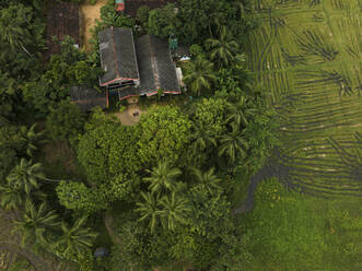 Aerial view of Hotel and fields close to Mathugama, Sri Lanka. - AAEF22879