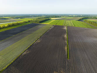 Aerial view of plots of farmland during spring, Bruntinge, Midden-Drenthe, Drenthe, Netherlands. - AAEF22903