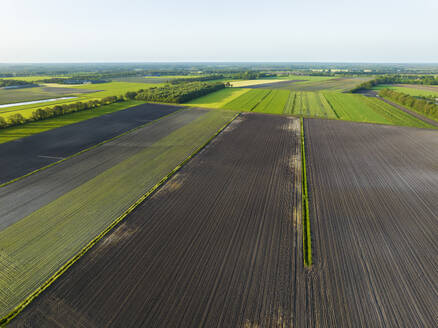 Aerial view of plots of farmland during spring, Bruntinge, Midden-Drenthe, Drenthe, Netherlands. - AAEF22903