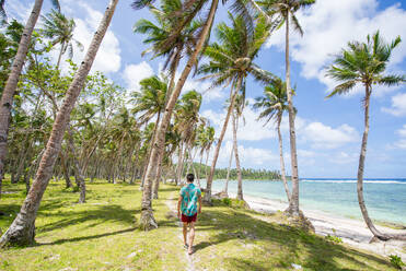 Landscape of green tropical forest with many coconut palm trees - Coconut forest on Siargao Island, Philippines - DMDF04904