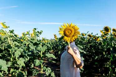 Side view of unrecognizable person holding beautiful sunflower in front of face while standing amidst lush green plants growing in farm against sky during summer - ADSF47260