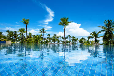 Picturesque view of green palms near swimming pool with reflection in transparent blue water along with white clouds in blue sky - ADSF47432