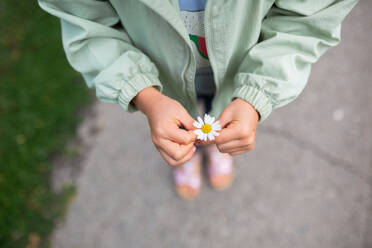 High angle shot of an anonymous girl in casual clothes standing on the sidewalk of a green park in daylight and holding a flower in her hands - ADSF47565