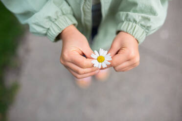 High angle shot of an anonymous girl in casual clothes standing on the sidewalk of a green park in daylight and holding a flower in her hands - ADSF47566