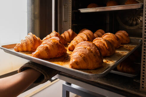 Delicious freshly baked croissants placed on counter tray being taken out of oven by hand of anonymous person in bakery at daylight - ADSF47569