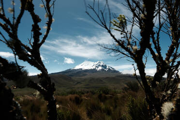 Picturesque landscape of Antisana volcano against blue sky with fluffy clouds floating over dry valley in Ecuador - ADSF47584