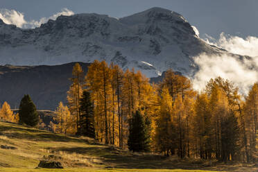 Majestic scenery of high rocky mountains covered with snow located near coniferous woods in cloudy day in autumn in Switzerland - ADSF47621