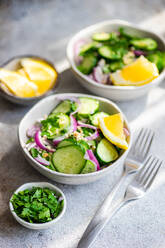 From above of healthy vegetables salads with organic cucumber, red onion, coriander and chopped nuts placed in a concrete table - ADSF47739