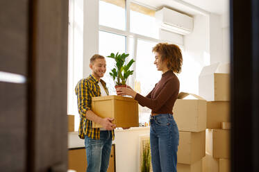 Happy young couple on moving day carrying cardboard boxes with belongings and flower. Couple on moving day carrying cardboard boxes - INGF12173